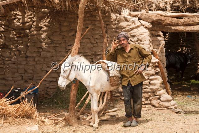 egypte desert libyque 16.JPG - Paysan égyptien et de son âneDésert libyque, Egypte
